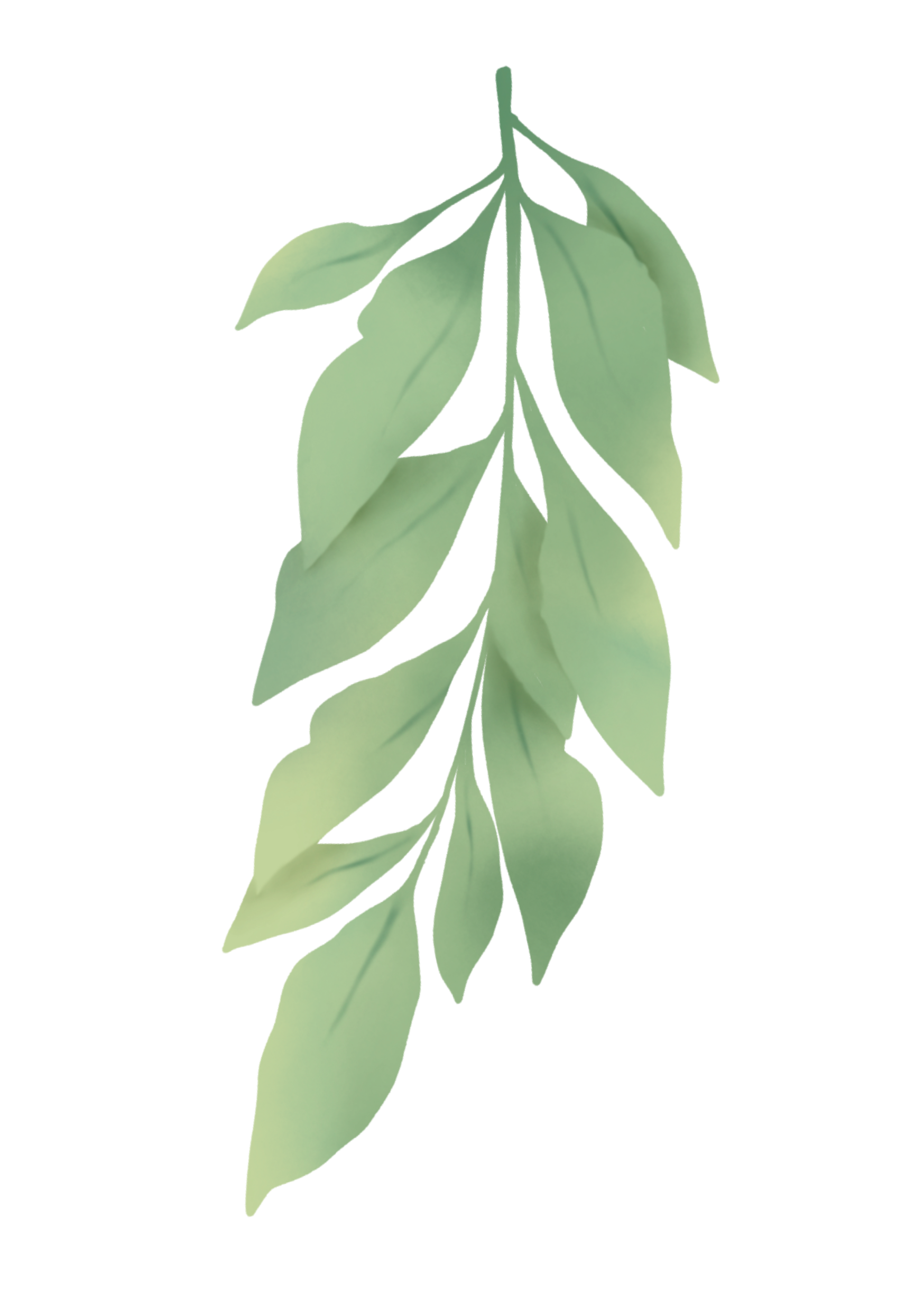 Leaf